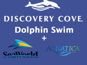 Discovery Cove + 2 Parks - Swim with Dolphins Package