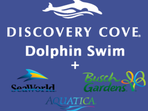 Discovery Cove + 3 Parks - Swim with Dolphins Package