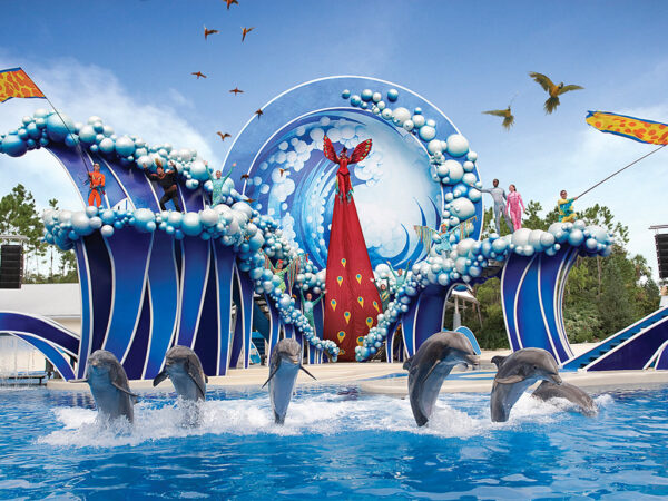 SeaWorld San Diego - Any Day Ticket - Adult (3yrs-up) - Image 2