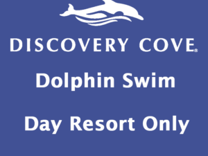 Discovery Cove Only - Swim with Dolphins