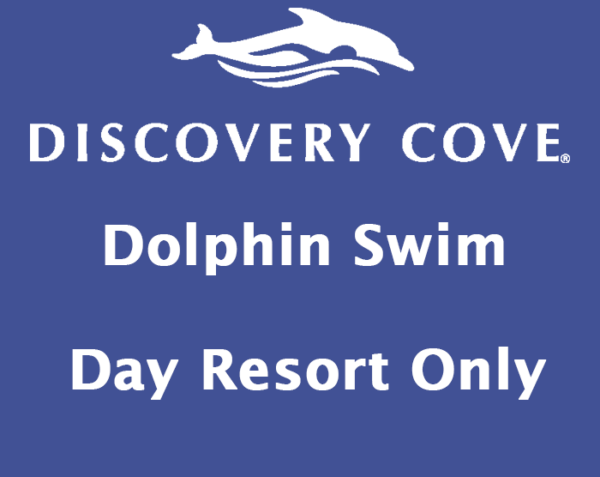 Discovery Cove Only - Swim with Dolphins