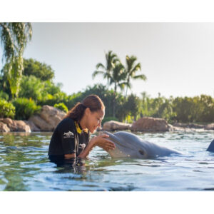 Discovery Cove Only - Swim with Dolphins Package